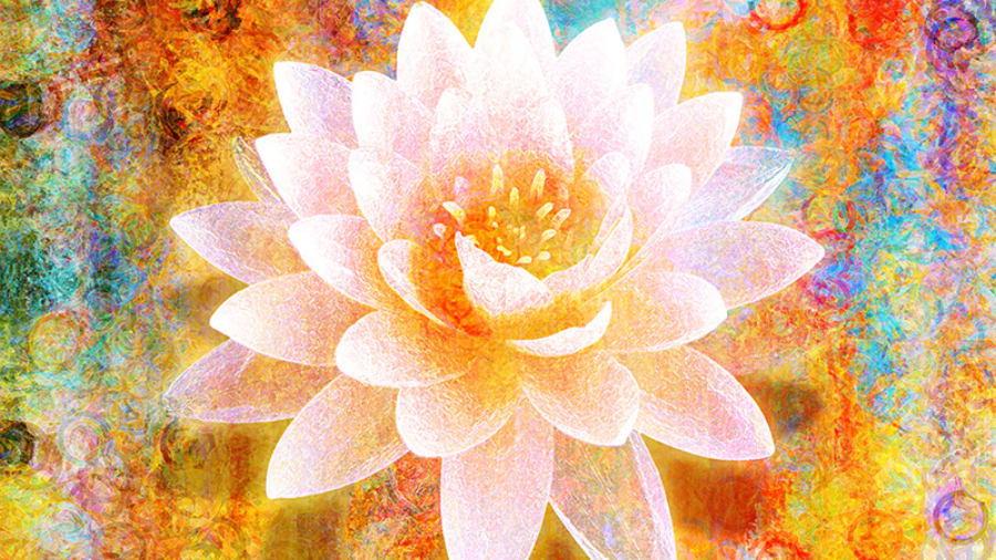 abstract-art-joy-of-life-lotus-flower